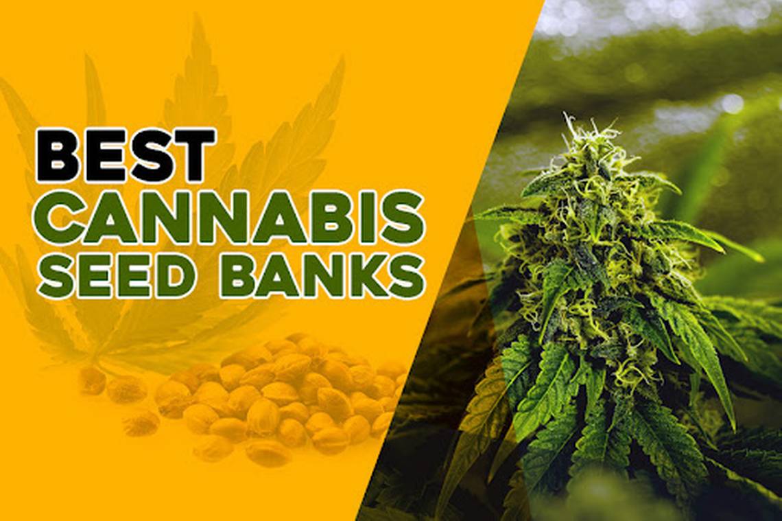 cannabis bank